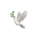 pax christi Basisgruppe